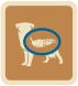 /foto/6beef_veal_large/beef-veal-l-02.png